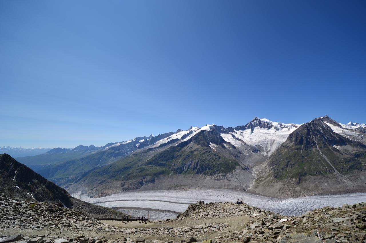 Appartmenthaus Bergfreund Fiesch Exteriér fotografie